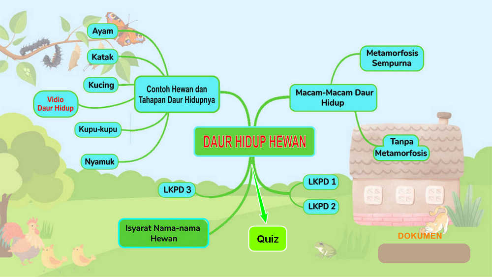 Mindmap Daur Hidup Hewan
